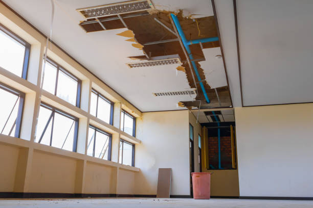 Best Carpet water damage restoration  in Thermal, CA