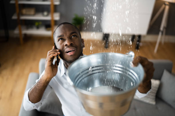 Best Flood restoration services  in Thermal, CA