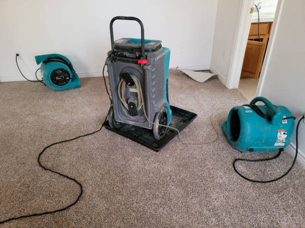 Best Residential water damage restoration  in Thermal, CA