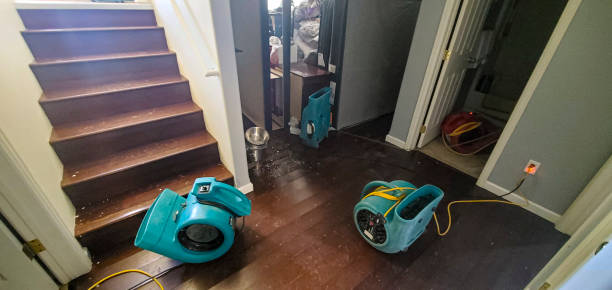 Best Mold removal after water damage  in Thermal, CA