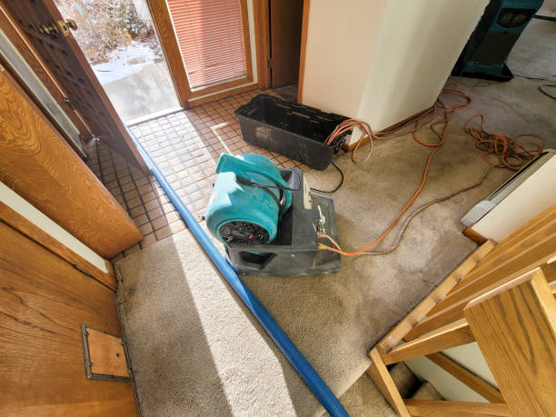 Best Water damage contractors near me  in Thermal, CA