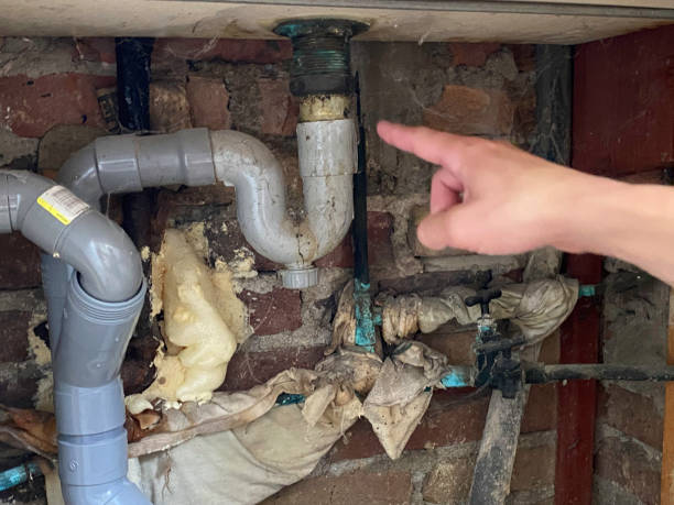 Best Water damage restoration specialists  in Thermal, CA
