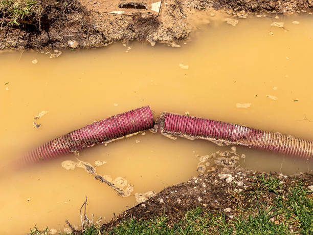 Best Professional water damage repair  in Thermal, CA