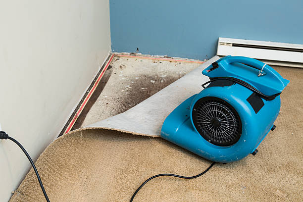 Best Local water damage restoration  in Thermal, CA